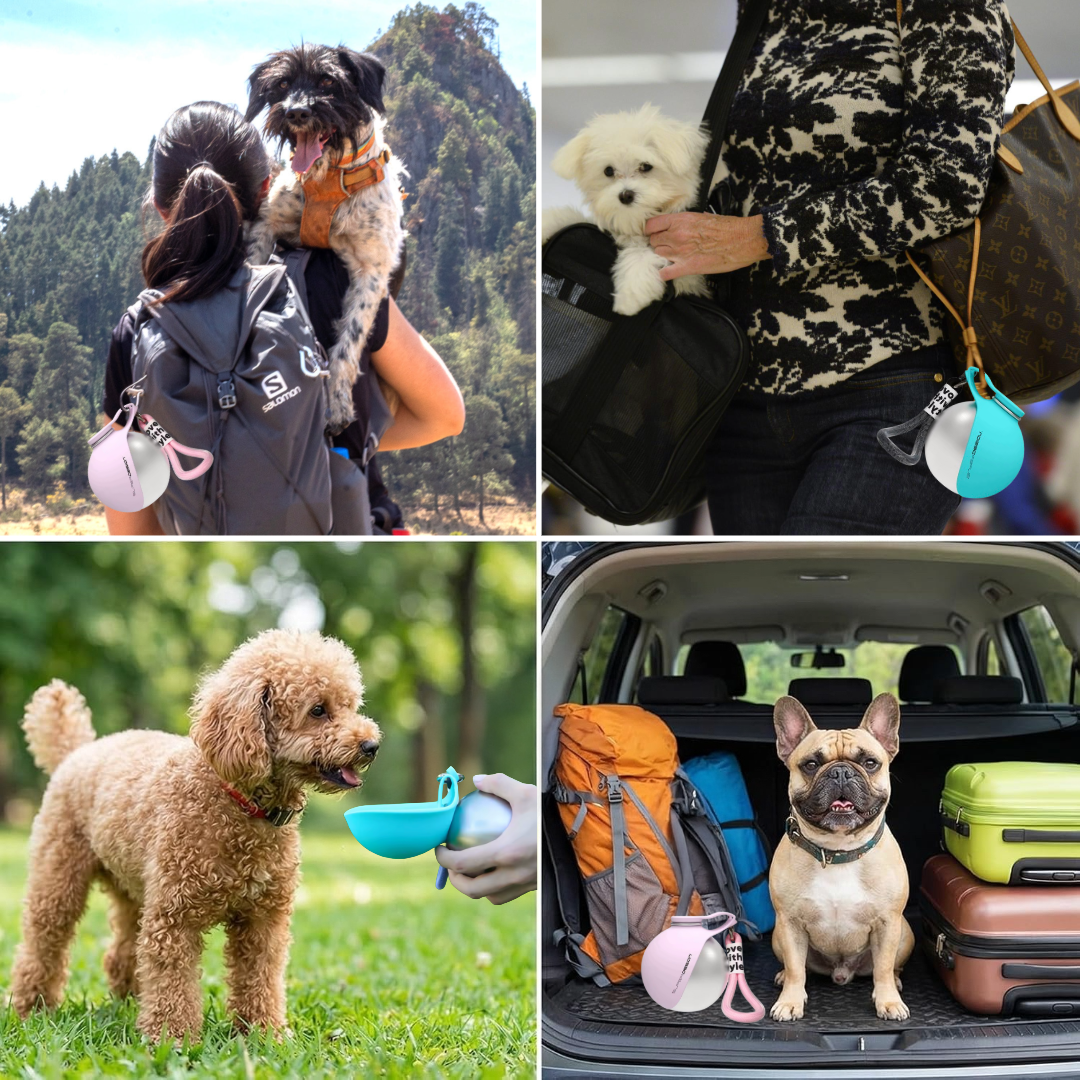 Pawpup™ Dog Water Bottle with Bowl